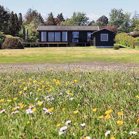 4 Star In Praesto-by Traum