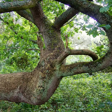 4 Star In Praesto-by Traum Holiday home Praesto