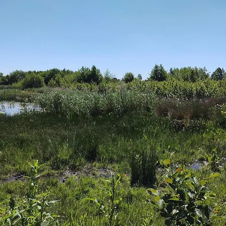 4 Star In Praesto-by Traum