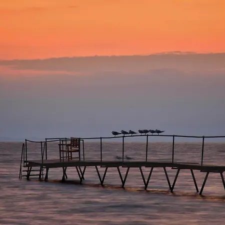 4 Star In Praesto-by Traum