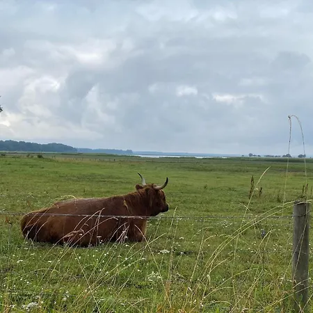 4 Star In Praesto-by Traum