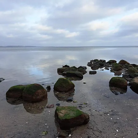 4 Star In Praesto-by Traum